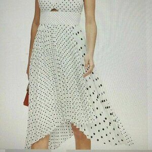 Banana Republic Dot Print Sweetheart Pleated Dress NWT size 6